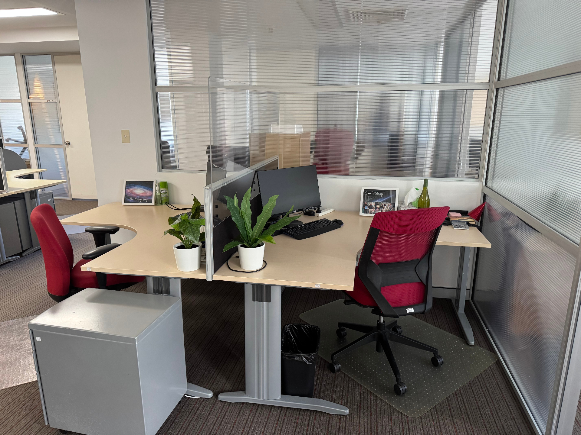 Apex Corporate Cleaning team servicing a Sydney office